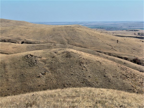 Луганская область.